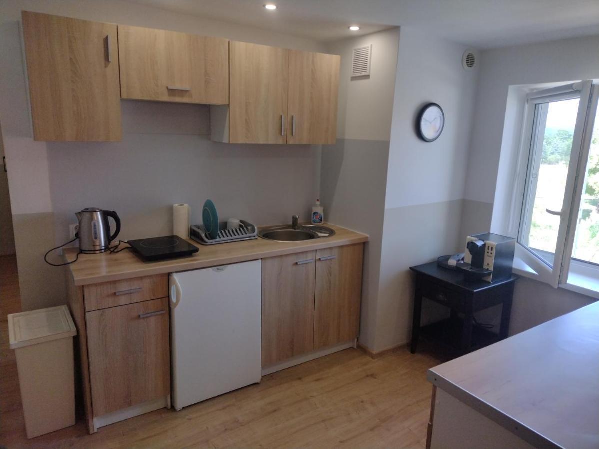 Sudety Hut 4 Apartment Podgorzyn Ngoại thất bức ảnh
